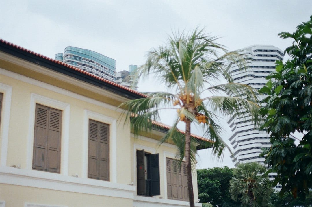 Cluster housing near palm trees and courtyard