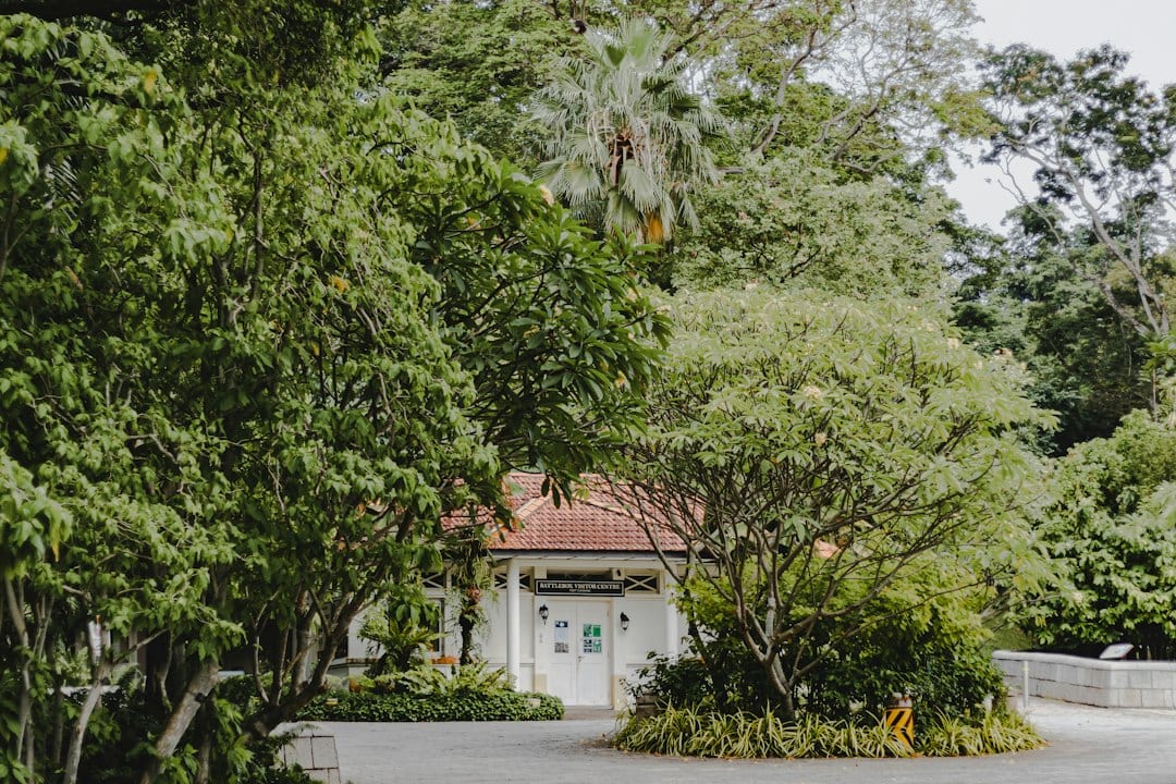 Detached bungalow set among trees and greenery