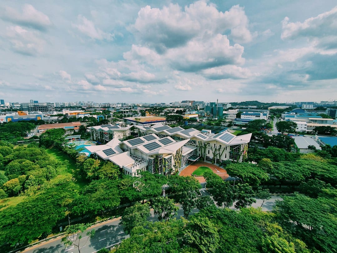 Aerial view of low-rise landed homes and greenery in Serangoon Gardens