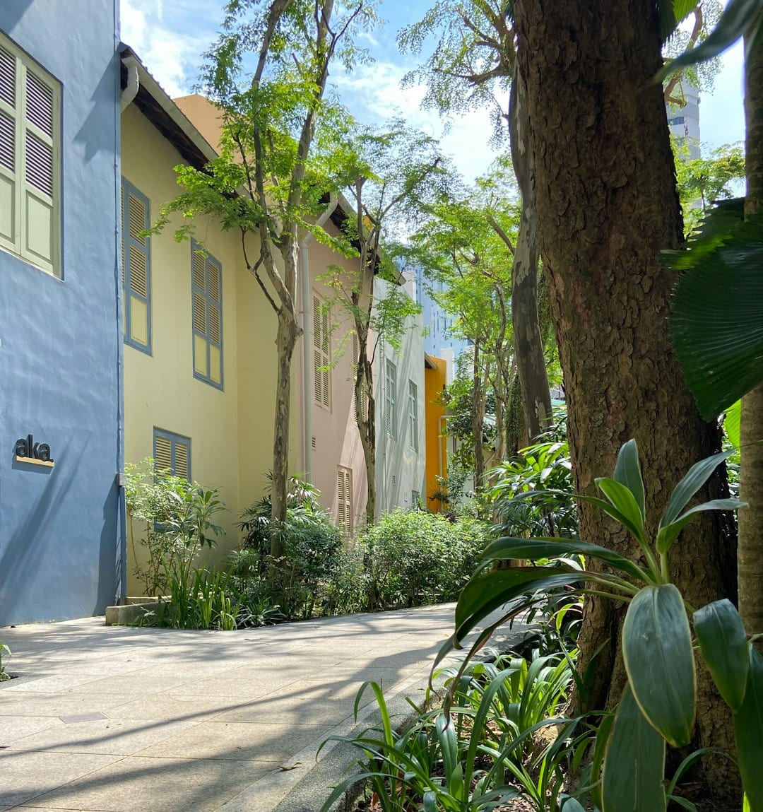 Terrace house facade with greenery