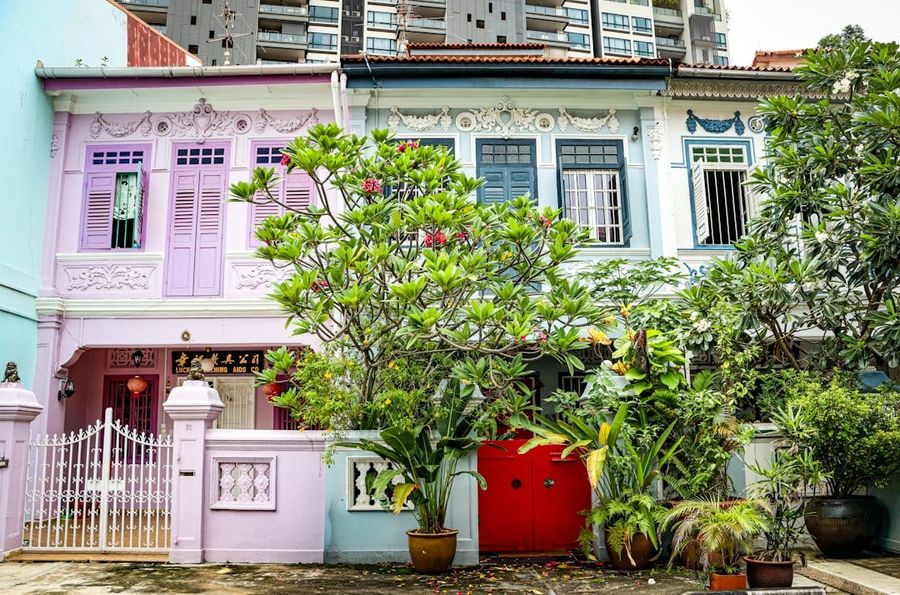 Traditional Singapore houses with lush greenery