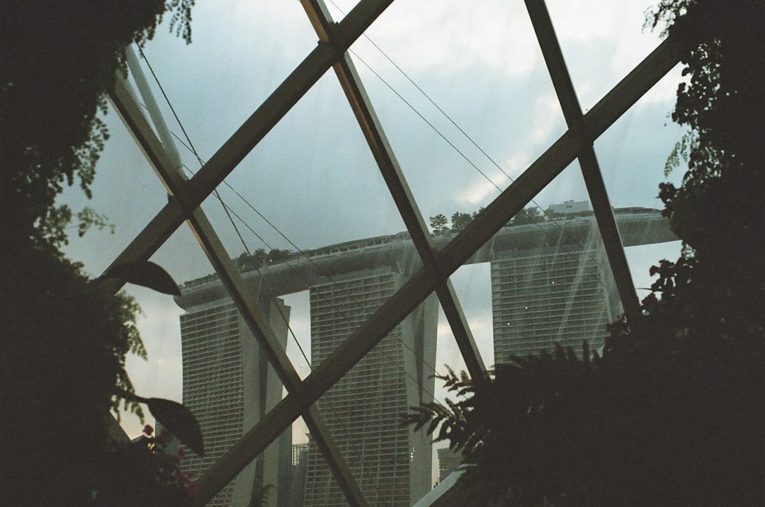 Bright interior detail with natural light and greenery