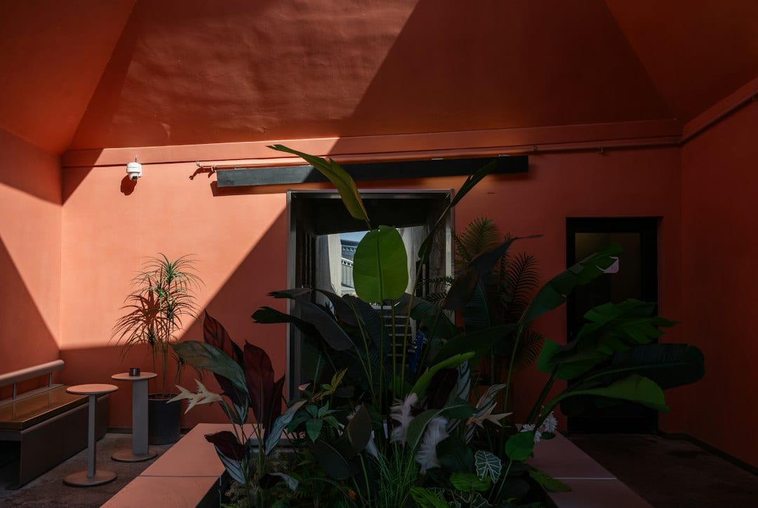 Sunlit interior courtyard of a modern Singapore landed home